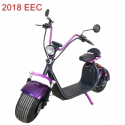 EEC Electric Speedometer Motorcycle / Chinese Mopeds