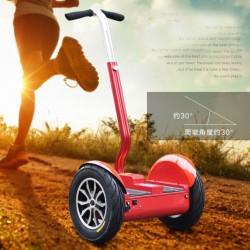 1000W City on Road Electric Motorcycle with 2 Wheesl