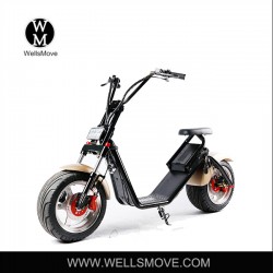 1000W Hub Motor Electric Motorcycle 2 Wheel Electric