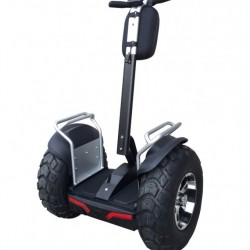 Chinese Street Electric Motorcycle, Motorcycle for Adults