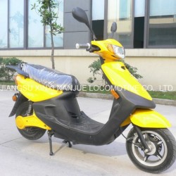 800W Electric Scooter/Motorcycle with LED Light