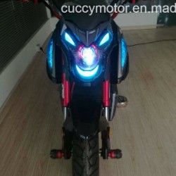 2018 Chinese Chinas 1500W/2000W 12" Fat Tire Racing Electric Motorcycle (Big Panther)