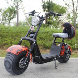 1200W Brushless Adult 2 Wheels Electric Motorcycle