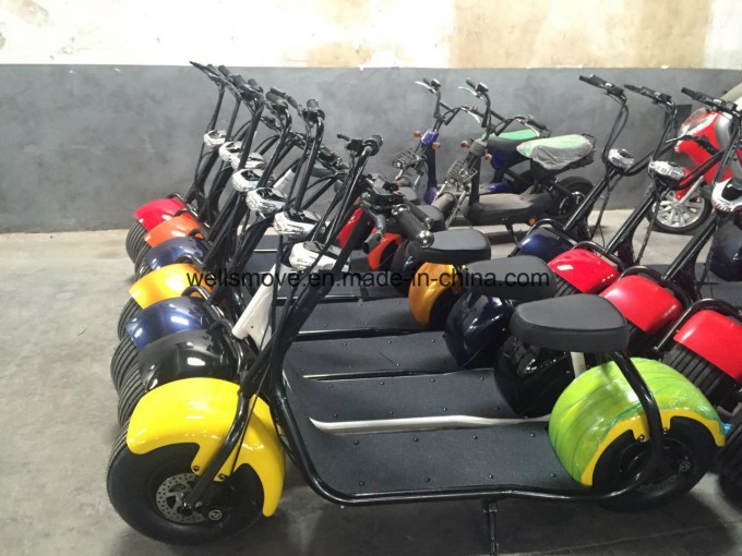 800W Mini Electric Motorcycle with Cheap Price Image1