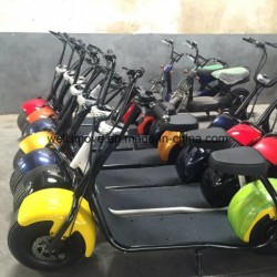 800W Mini Electric Motorcycle with Cheap Price