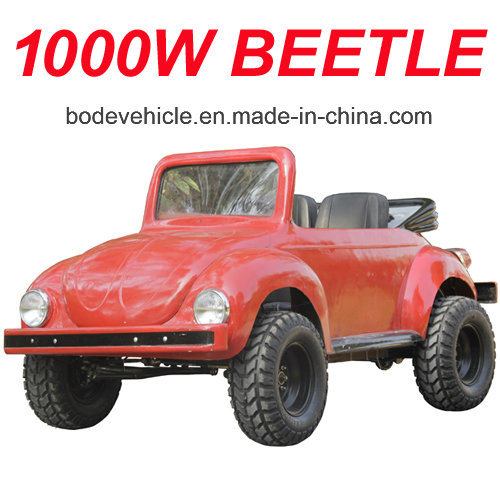 1000W Electric Motorcycle for Kids (MC-253) Image1
