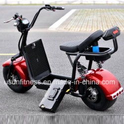 New Style Sport Electric Bike 2 Wheels Electric Motorcycle Ny-E85