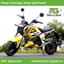 1500W Cool EEC Electric Motorcycle for European