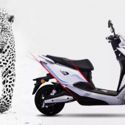 800W 1200W Electric Motorcycle for Sale
