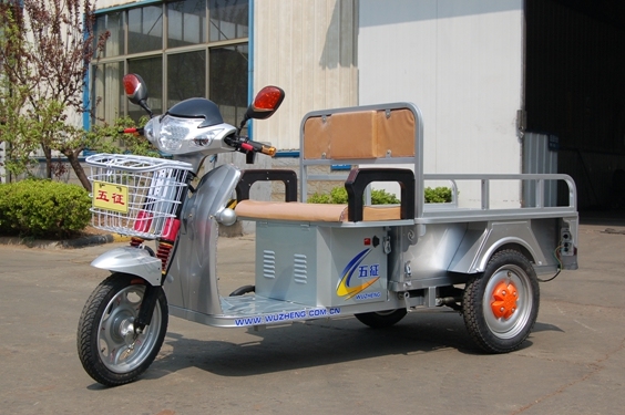 Three Wheel Electric Motorcycle with 2 Person Image1