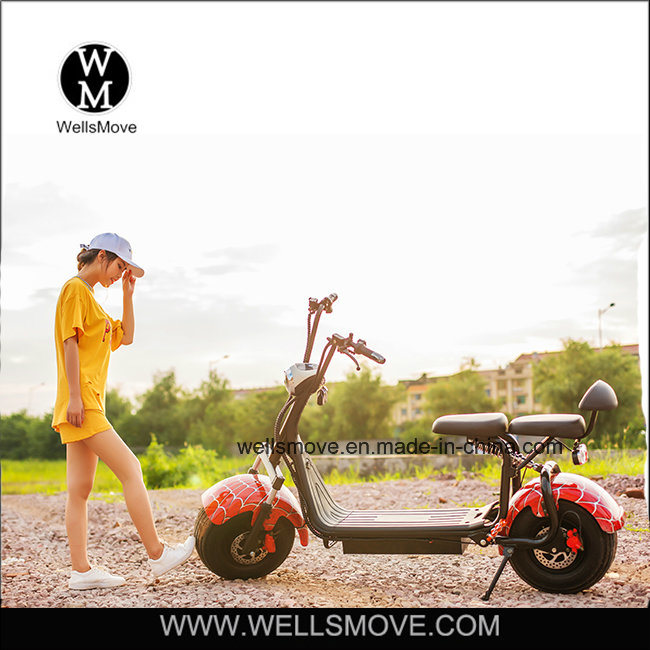 2017 Best Sell Big Wheel Electric Power Motorcycle 1000W 60V 35km/H Image1