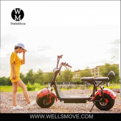 2017 Best Sell Big Wheel Electric Power Motorcycle 1000W 60V 35km/H