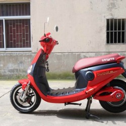 1000W/60V Wholesale Electric Bike/Ebike/Front Plate Rear Drum Electric Motorcycle