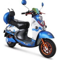 Popular Lead-Acid Battery Electric Motorcycle (YG)