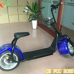 Big Wheels Electric Bike 18 Inch, 1000W Electric Motorcycle for Sale