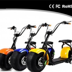 2018 New Removable Battery Citycoco Electric Scooter/Electric Motorcycle Scooter