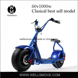 1000W Fat Tire Mobility Scooter Harley Style Electric Motorcycle with Anti-Theft Device