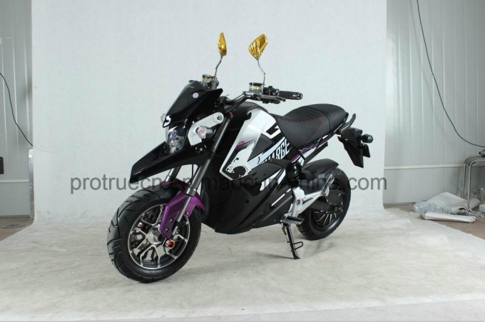 2000W MID Motor Electric Motorcycle with Disc Brake MID Motor Image1