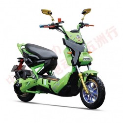 Best Sport Electric 