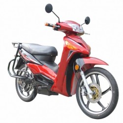 Electric Motorcycle 