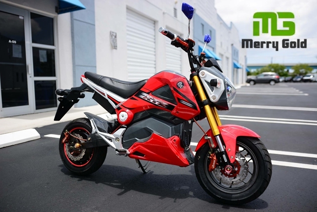 Youth Style Fashion Model Electric Motorcycle Image1