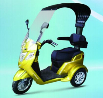 25km/H Max Speed Electirc New Scooter/Electric Motorcycle Image1