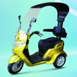 25km/H Max Speed Electirc New Scooter/Electric Motorcycle