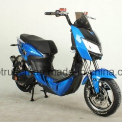 1000W Electric Motorcycle with Rear Motor