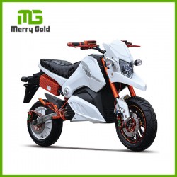 Big Power 2000W Hot Sale New Adult Electric Motorcycle