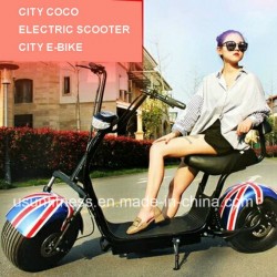 Hot Sale Electric Scooter Motorcycle with Ce