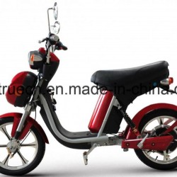 500W Brushless Motor Electric Motorcycle