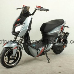 1000W 60V Electric Motorcycle with Rear Motor