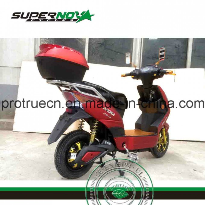 800W Electric Motorcycle with Pedal Image1
