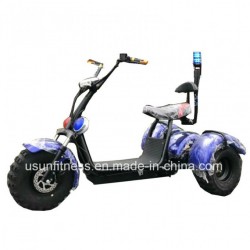 Prowl Car Colorful Indoor Electric Motorcycle for Police