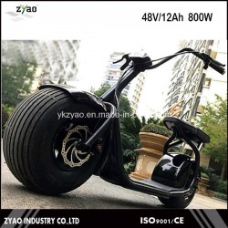 China Cheap Li-ion Battery Fat Tire off Road Stand up 2 Wheel Electric Scooter, Electric Motorcycle