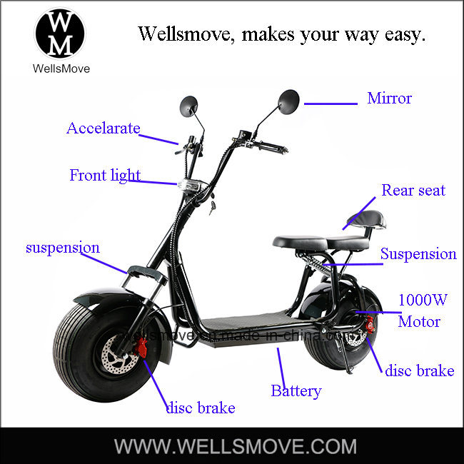1000W High Power Electric Motorbike with Double Seat Front Rear Suspension Image1