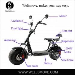 1000W High Power Electric Motorbike with Double Seat Front Rear Suspension