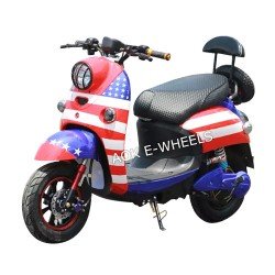 New Design 1000W Adult Electric Dirt Motorcycle (EM-010)
