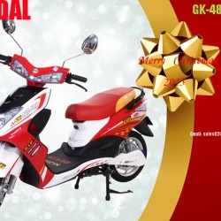 Powerful Electric Scooter Motorcycle Bwe Look-Alike