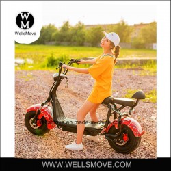 1000W Electric Motorbike with Brushless Motor