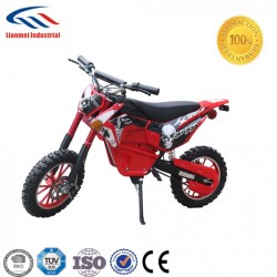 Kids Electric Pocket Bike with 500W Motor