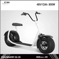 2016 New Model Disc Brake Type Electric Motorcycle for Adults Citycoco Electric Scooter