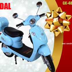 2015 Hot New Style Electric Motorcycle Suitable for Young People