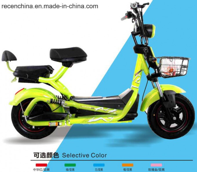 Two Wheel 500W Electric Vehicle Electric Motorcycle in China Image1