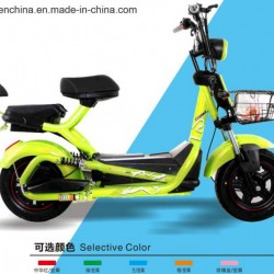 Two Wheel 500W Electric Vehicle Electric Motorcycle in China