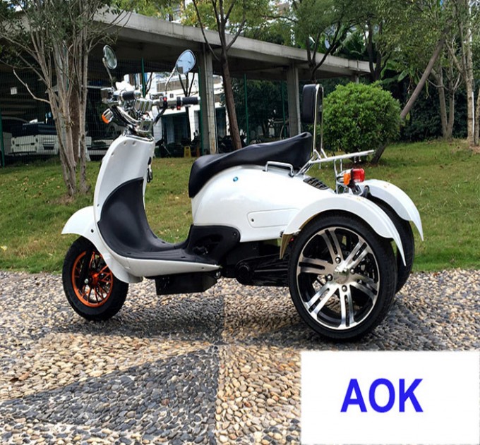 60V1000W Electric Motor Tricycle, Electric Powered Dirt Motorcycle (EM-053) Image1