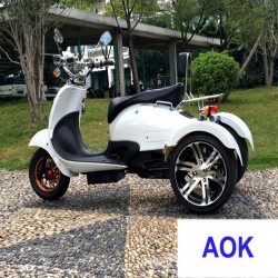 60V1000W Electric Motor Tricycle, Electric Powered Dirt Motorcycle (EM-053)