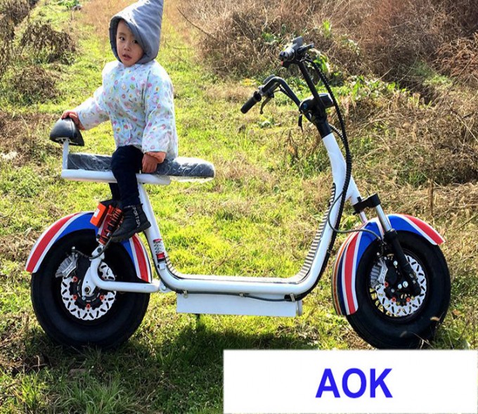 60V1000W Electric Motorbike, Electric Powered Motorcycle for Adult (EM-055) Image1