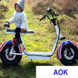 60V1000W Electric Motorbike, Electric Powered Motorcycle for Adult (EM-055)