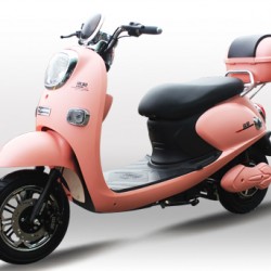 60V 1000W 2 Seats Motorcycle Electric with Disc Brakes for Woman